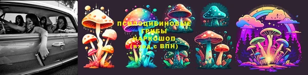 гидра Кулебаки