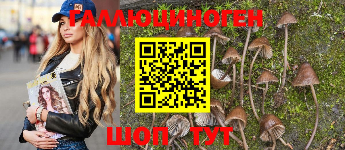 Галлюциногенные грибы MAGIC MUSHROOMS  закладка  Муравленко 
