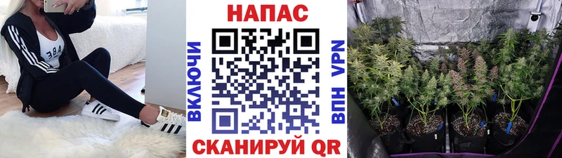 Марихуана индика  купить   Муравленко 